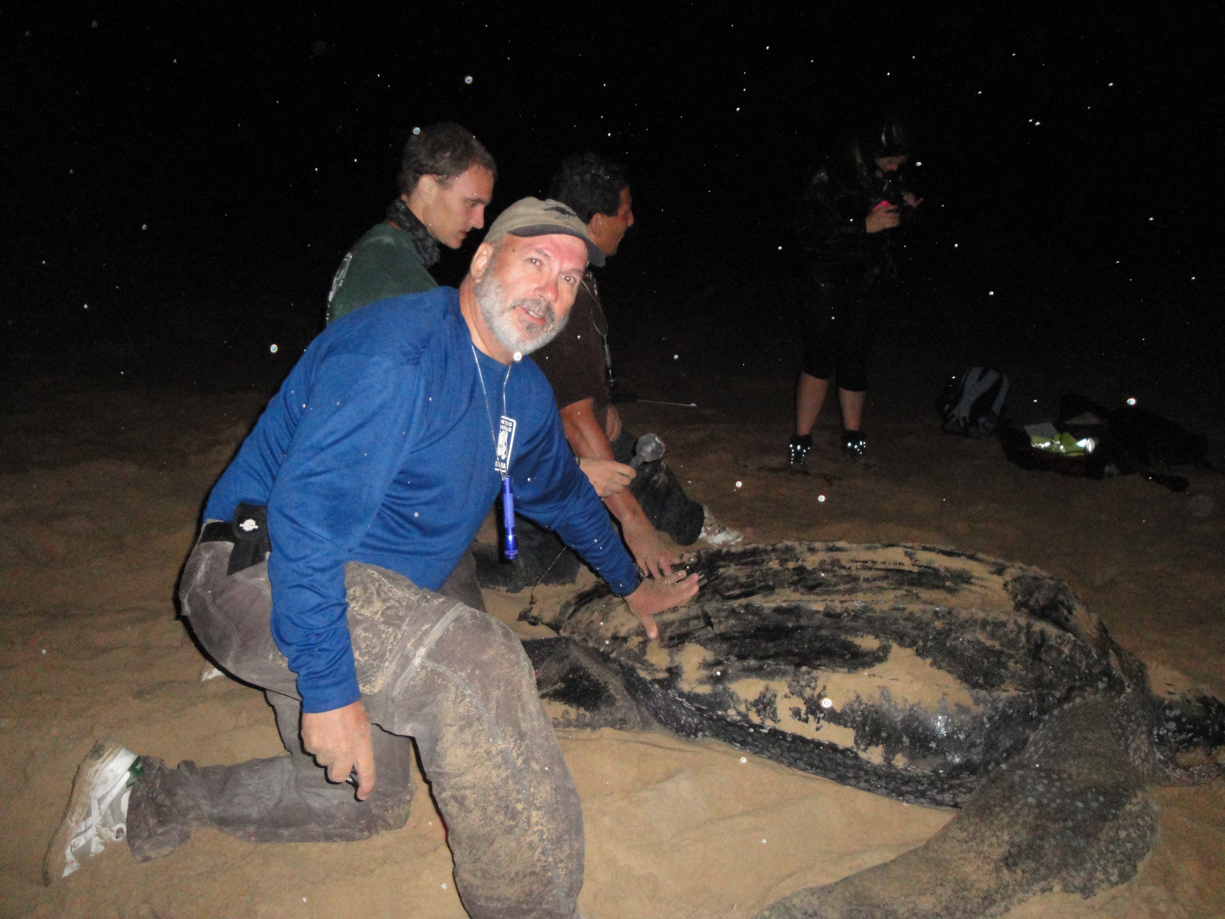 Frank+ LB in South Africa